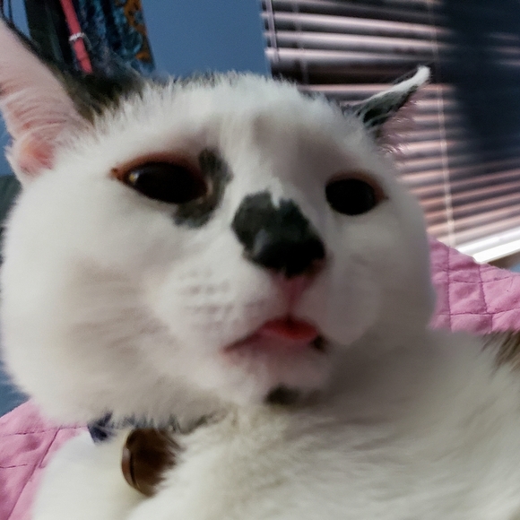 Hi, I'm Ruthie!!! :) - Picture 4 of 5